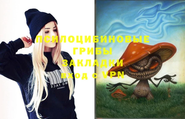 не бодяженный Горно-Алтайск